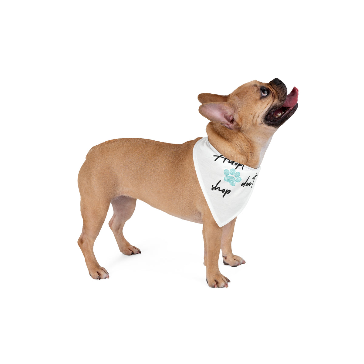 Adopt Don't Shop Pet Bandana – Paw Print Rescue Bandana for Dogs & Cats